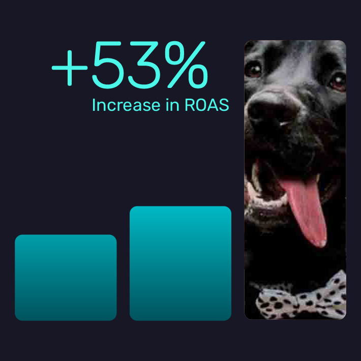 Cocopup saw paw-fect results with our Targeted Search Term algorithm