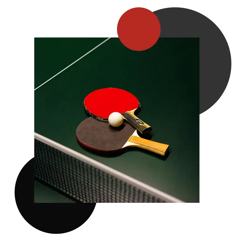 Table Tennis 365 scores a huge surge in both revenue and conversion rates with Bidnamic’s Google Shopping mastery